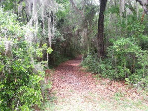 One of the trails from the ruins